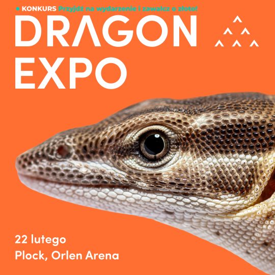 22 lutego 2026 Płock / Bilet Normalny