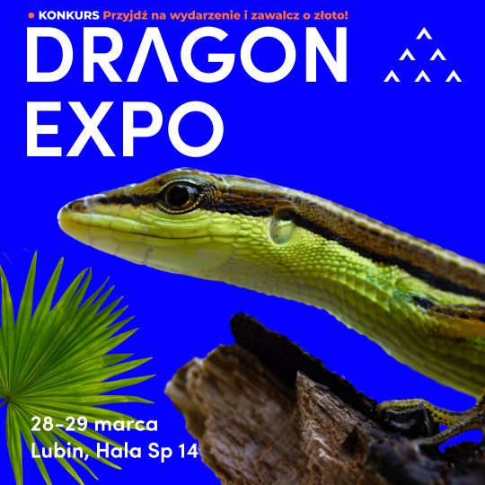 28-29 marca 2026 / Lubin / Bilet Normalny