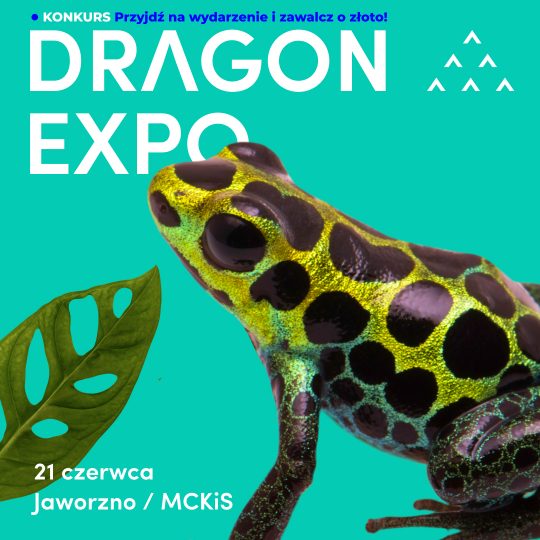 21 czerwca 2026 / Jaworzno / Bilet Normalny