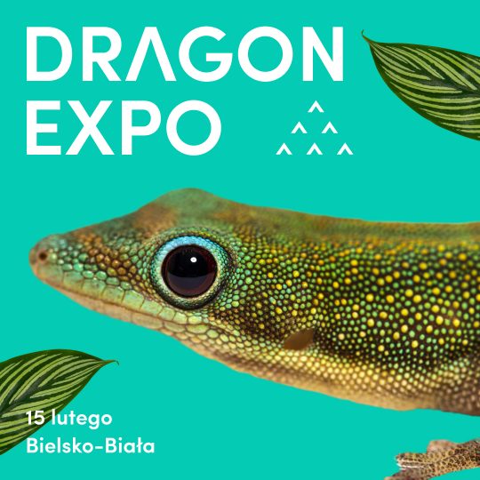 15 lutego 2026 / Bielsko-Biała / Bilet Normalny