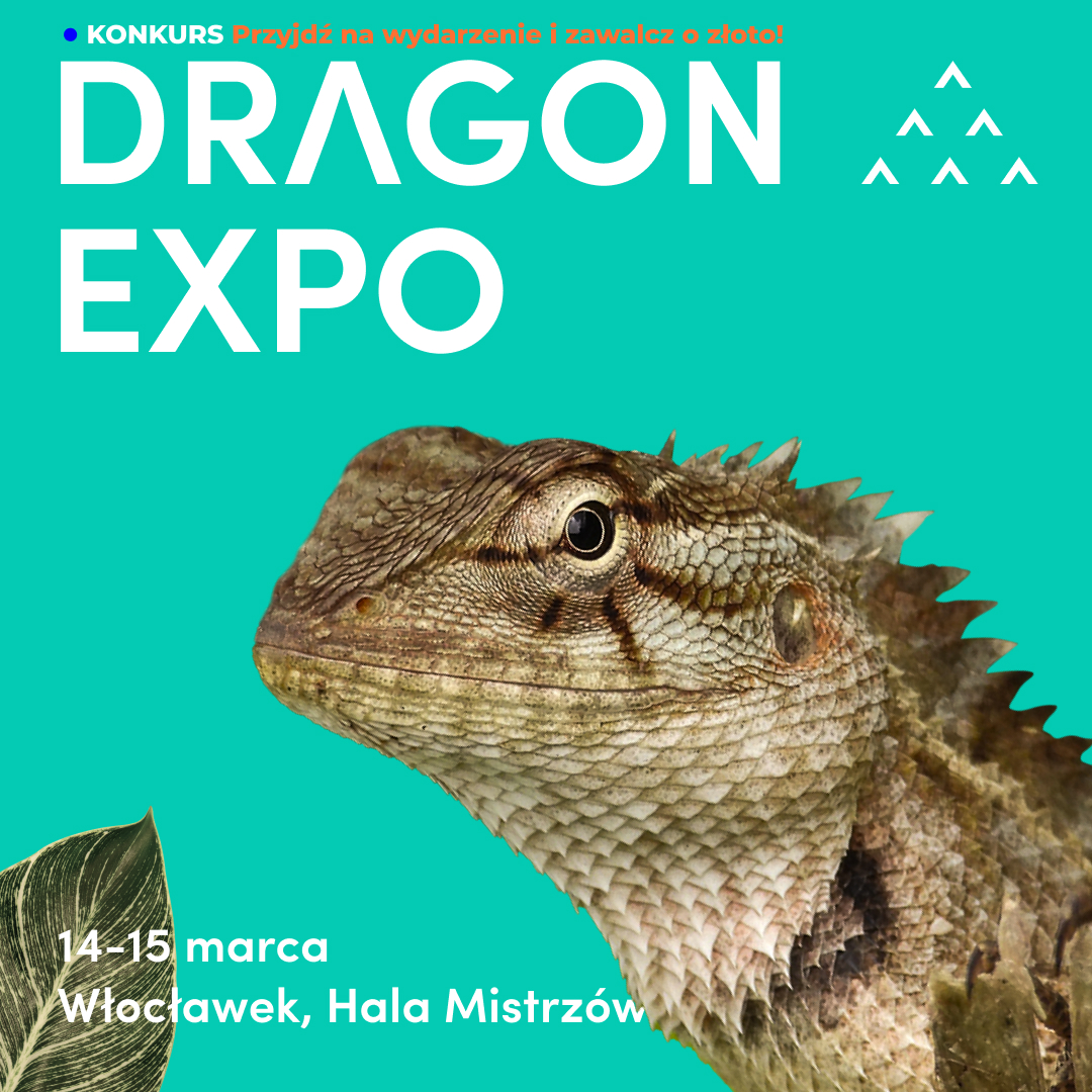 Włocławek / Bilet Ulgowy / 14-15 marca 2026