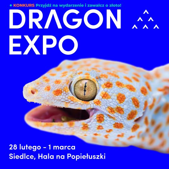 Siedlce / Bilet Normalny / 28 lutego-1 marca 2026