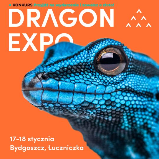 17-18 stycznia 2026 / Bydgoszcz / Bilet Normalny