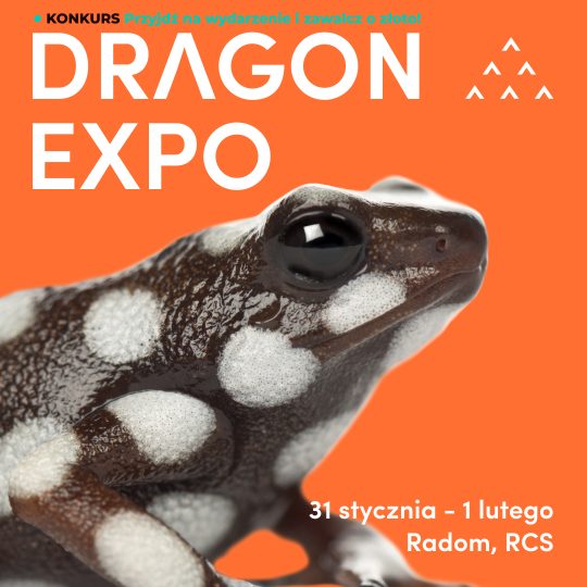 31 stycznia - 1 lutego 2026 / Radom / Bilet Normalny