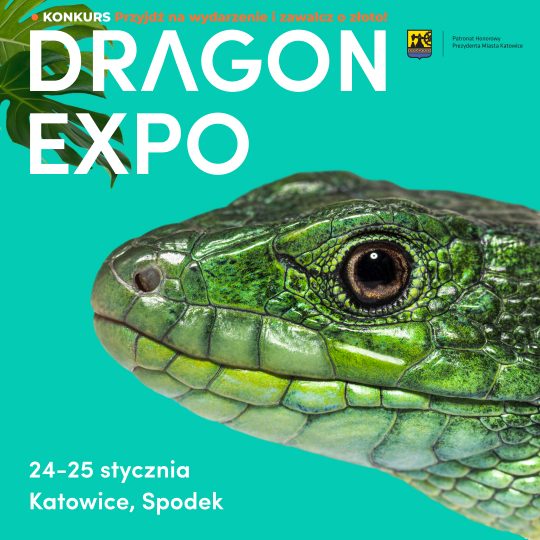 24-25 stycznia 2026 Katowice / Bilet Normalny